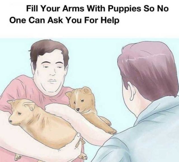 Dog Memes (27 pics)