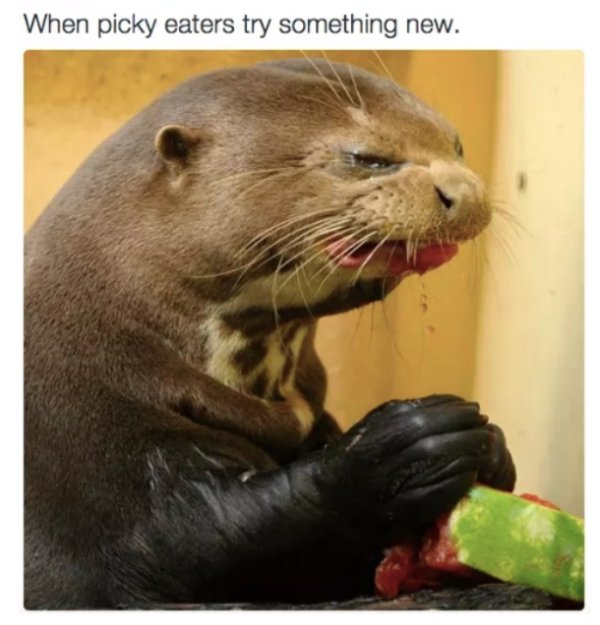 Memes About Picky Eaters (30 pics)