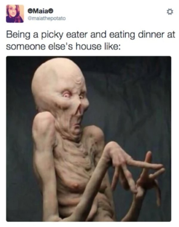 Memes About Picky Eaters (30 pics)