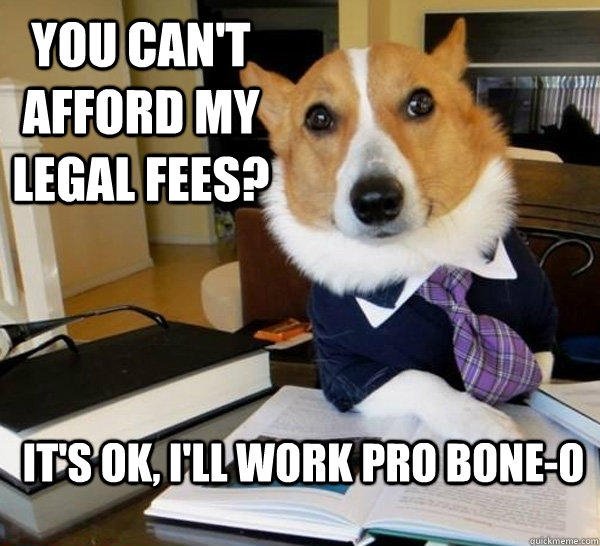Dog Memes (27 pics)