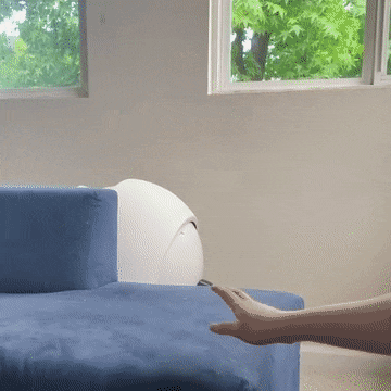 Acid Gifdump, June 05 (25 gifs)