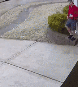 Acid Gifdump, June 05 (25 gifs)