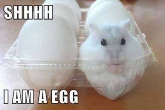 Acid Picdump. Part 2 (100 pics)
