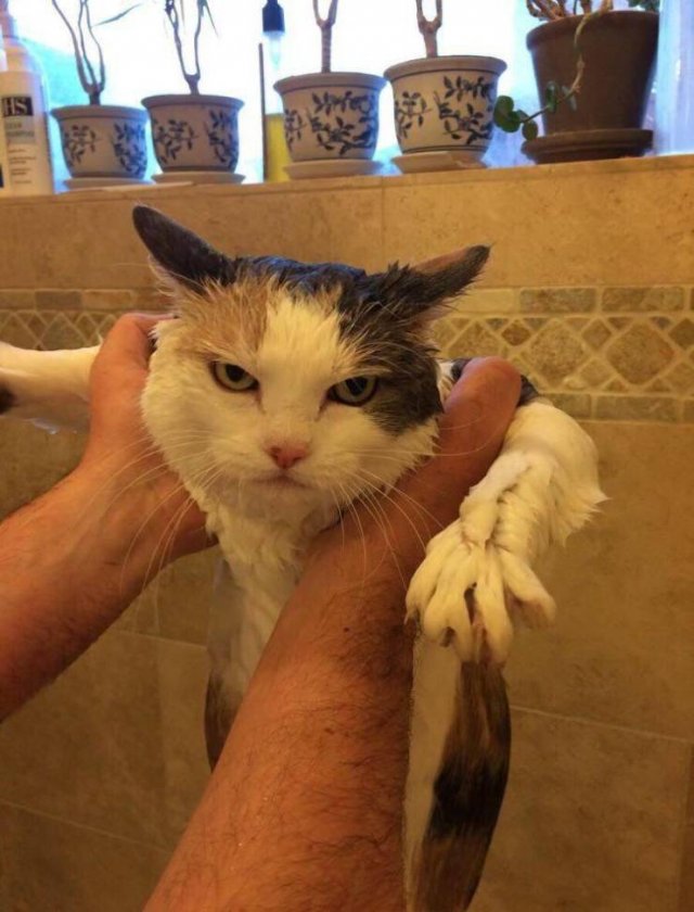 Acid Picdump. Part 1 (100 pics)