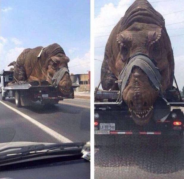 Acid Picdump. Part 1 (100 pics)