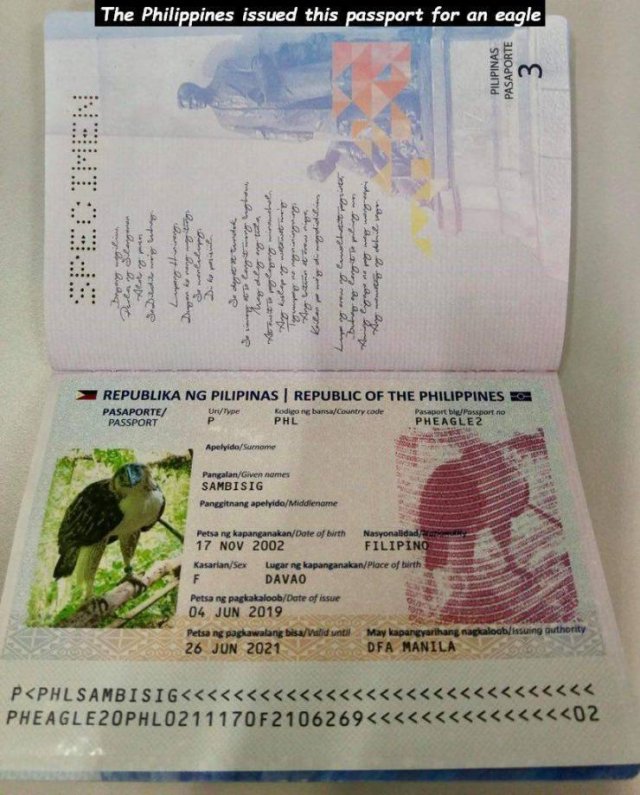 Acid Picdump. Part 1 (100 pics)