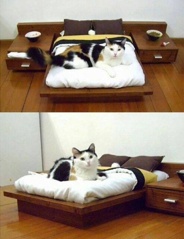 Acid Picdump. Part 1 (100 pics)