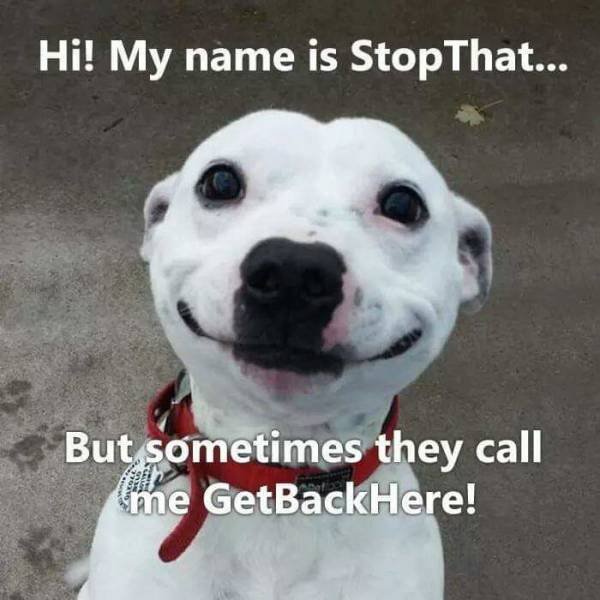 Acid Picdump. Part 2 (100 pics)