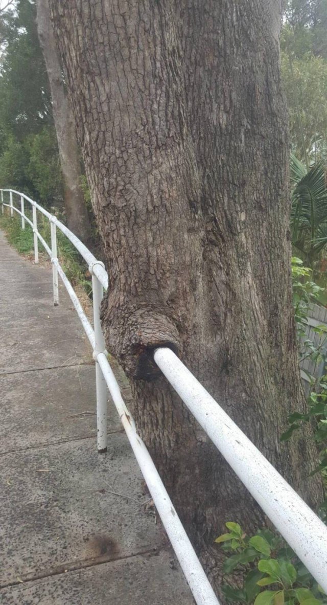 Acid Picdump. Part 1 (100 pics)