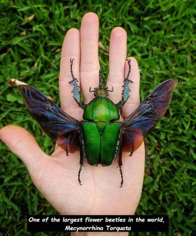 Acid Picdump. Part 1 (100 pics)