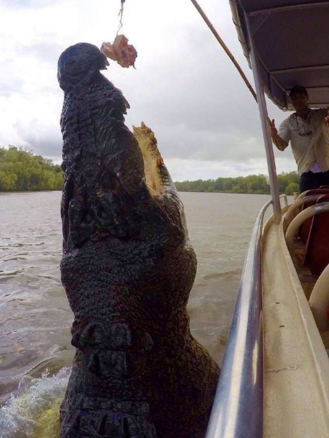 Acid Picdump. Part 2 (100 pics)