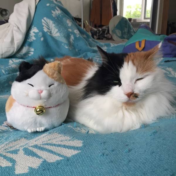 Acid Picdump. Part 2 (100 pics)