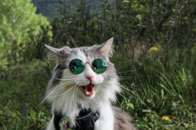 Acid Picdump. Part 2 (100 pics)