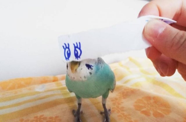 Acid Picdump. Part 2 (100 pics)