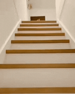 Acid Gifdump, June 06 (25 gifs)
