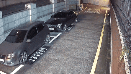 Acid Gifdump, June 06 (25 gifs)