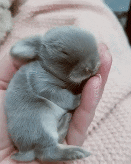 Acid Gifdump, June 06 (25 gifs)