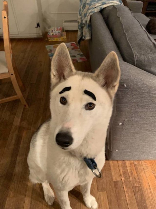Acid Picdump. Part 2 (100 pics)