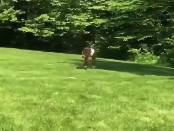 That Was A Little Too Much