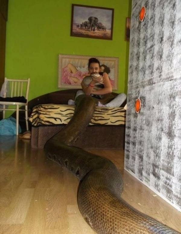 100% Nope (41 pics)