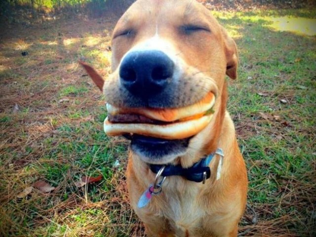 These Photos Will Make You Smile (40 pics)