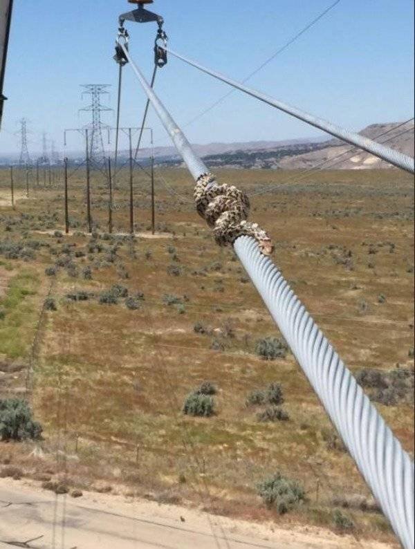 100% Nope (41 pics)