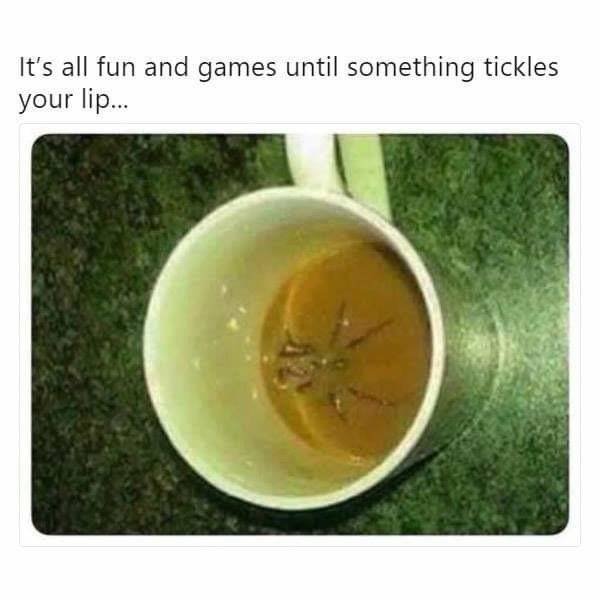 100% Nope (41 pics)