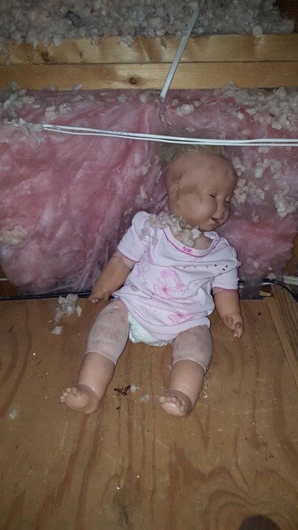 100% Nope (41 pics)