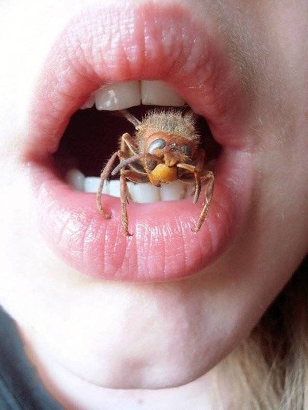 100% Nope (41 pics)