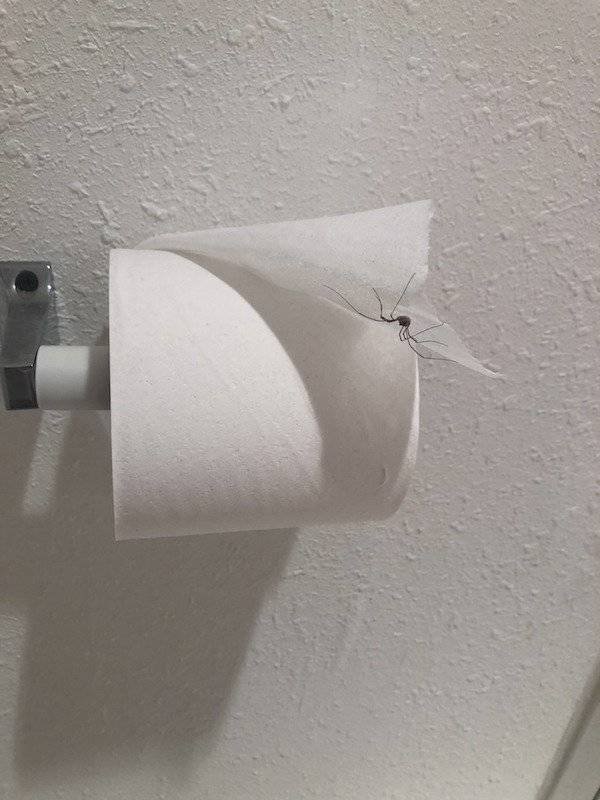 100% Nope (41 pics)