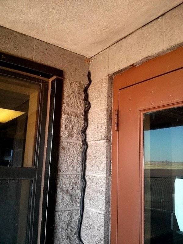 100% Nope (41 pics)
