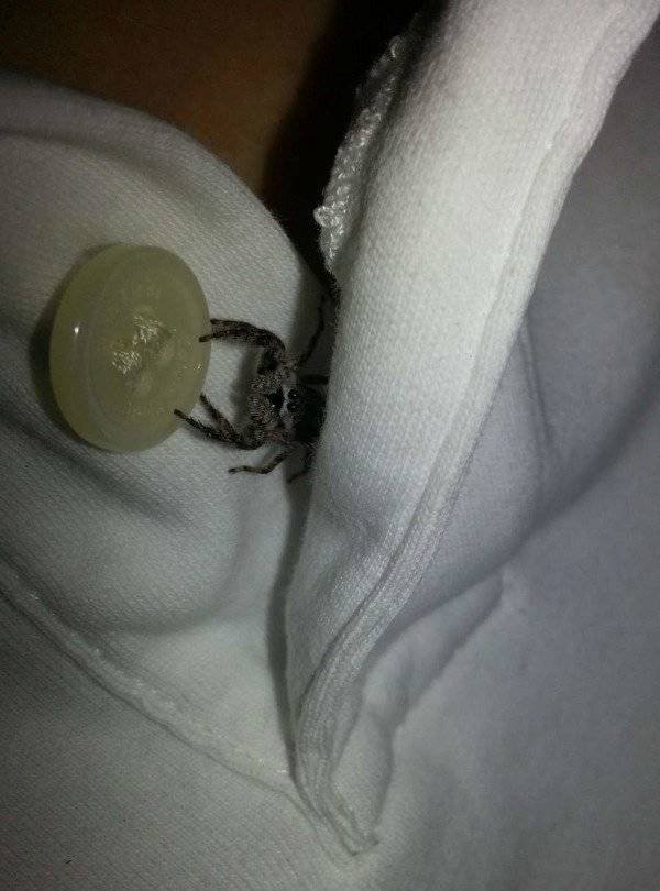 100% Nope (41 pics)