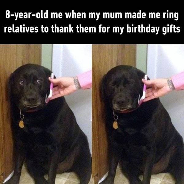 Funny Pictures And Memes About Family (29 pics)