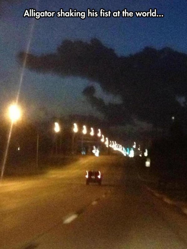 Do You See It? (36 pics)