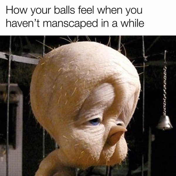 Male Memes (35 pics)