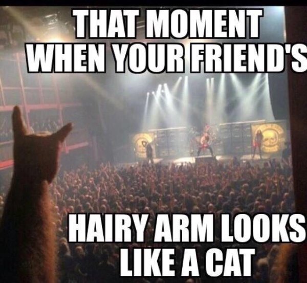 Male Memes (35 pics)