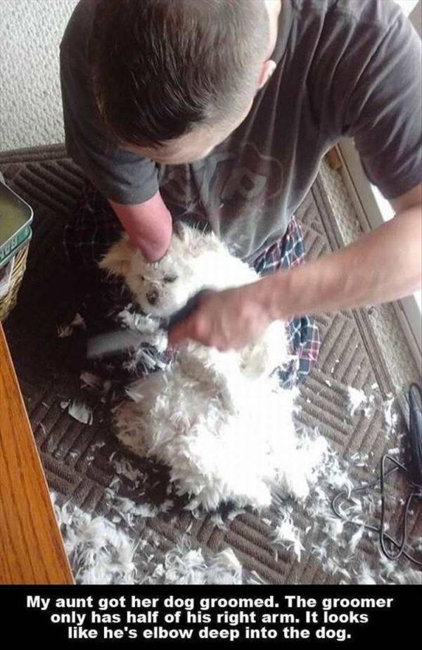 Do You See It? (36 pics)