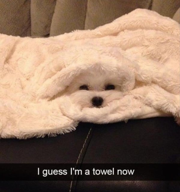 Do You See It? (36 pics)
