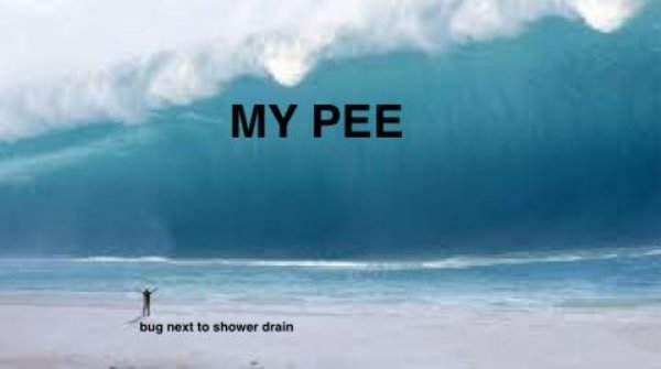 Male Memes (35 pics)
