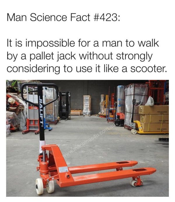 Male Memes (35 pics)