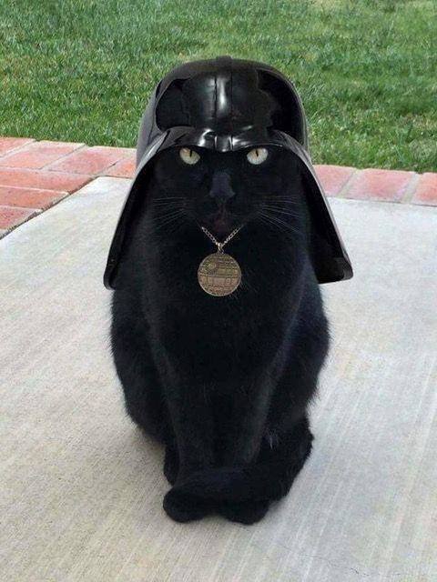 Acid Picdump. Part 2 (100 pics)