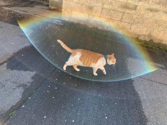 Acid Picdump. Part 2 (100 pics)