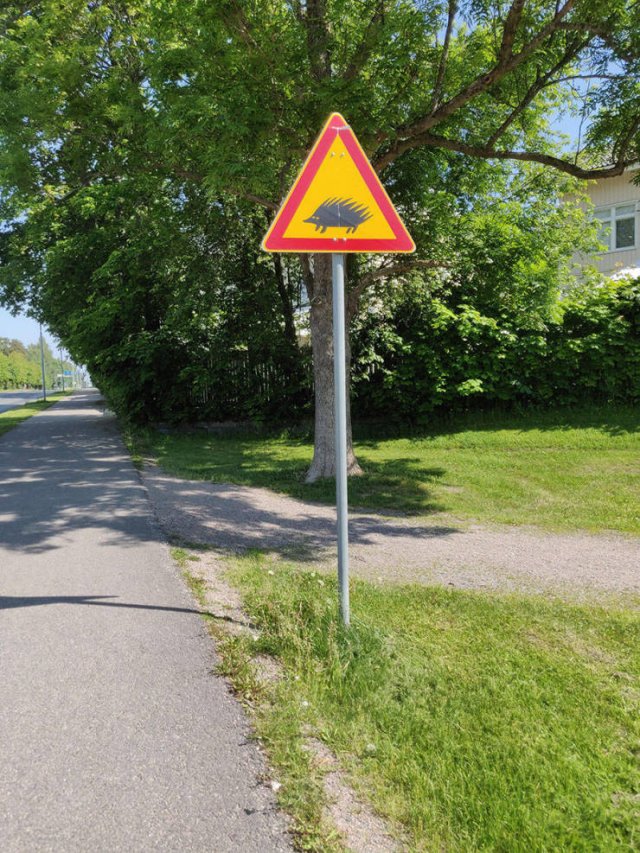 Acid Picdump. Part 2 (100 pics)