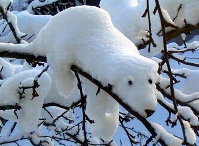 Acid Picdump. Part 2 (100 pics)