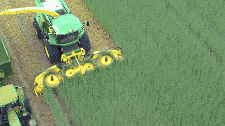 Acid Gifdump, June 10 (25 gifs)