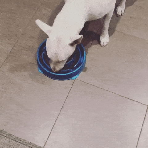 Acid Gifdump, June 10 (25 gifs)