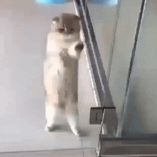 Acid Gifdump, June 10 (25 gifs)