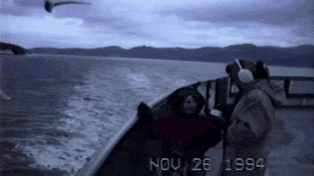 Acid Gifdump, June 10 (25 gifs)