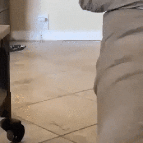 Acid Gifdump, June 10 (25 gifs)