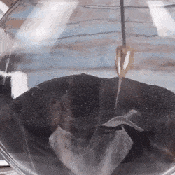 Acid Gifdump, June 10 (25 gifs)